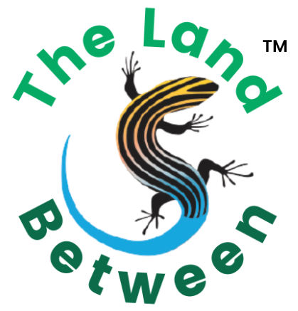 tlb