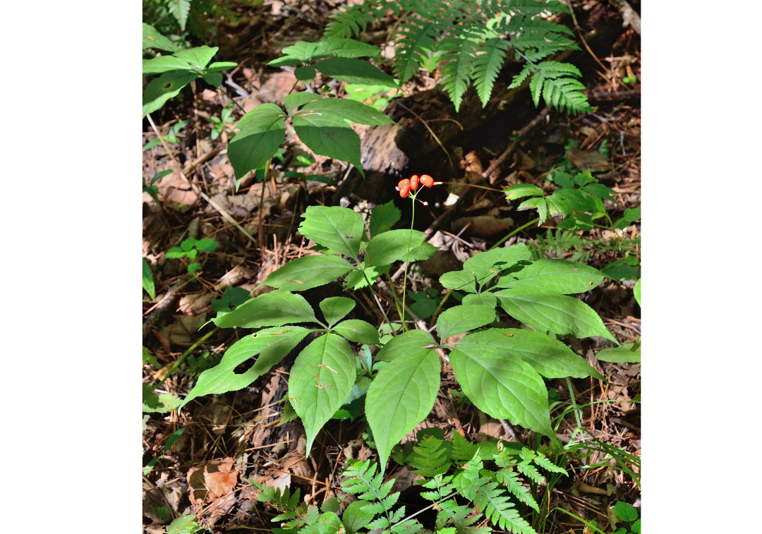 Pictures for work (2)