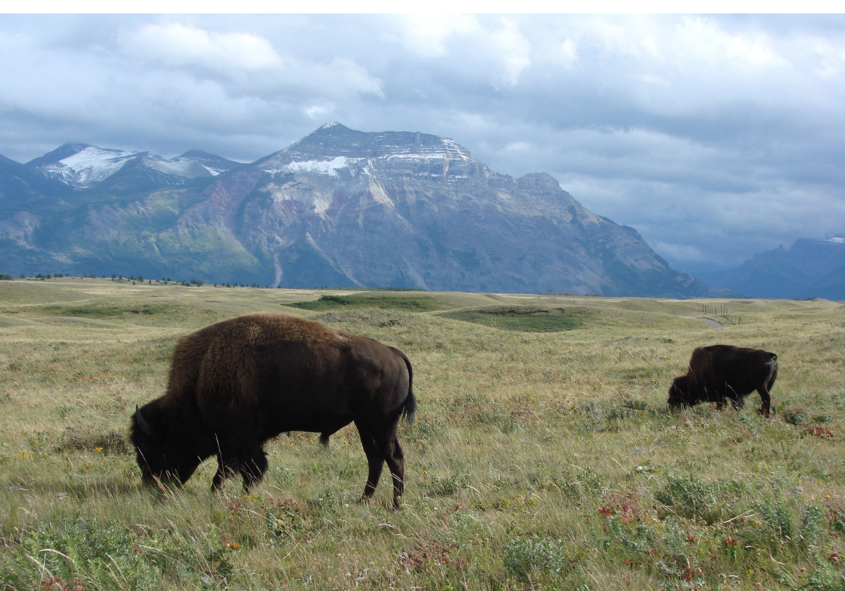 Water and Resources Species at Risk Natural Processes Habitats Sacred Places Scenic views Relationships with Land Future Generations (3)